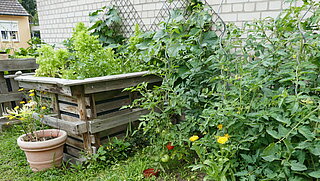 Das Bild zeigt ein Hochbeet, einen Blumentopf und Blumen im Urban Gardening Projekt Bonnerbü.