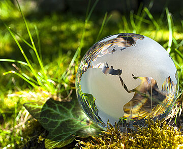 Weltkugel aus Glas auf einer grünen Wiese