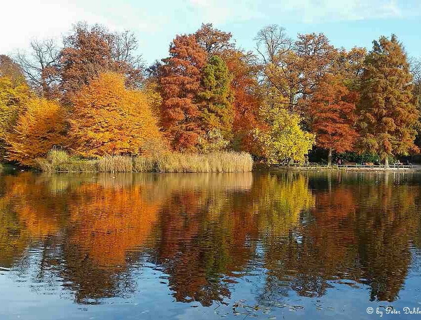 Herbststimmung Schlossgarten