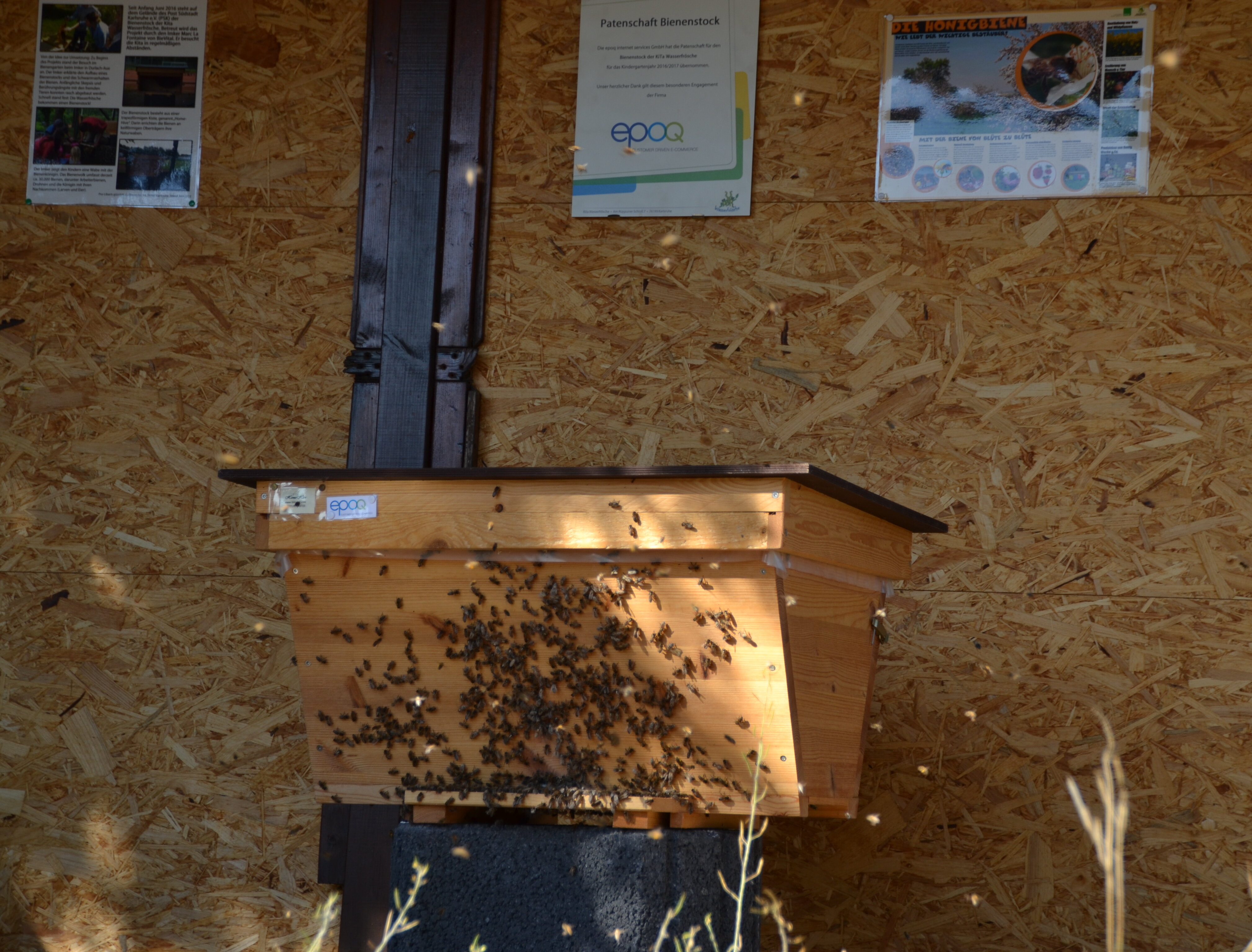 Bienenprojekt der Pro-Liberis Kita Wasserfrösche