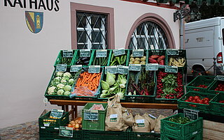 Bild mit Marktstand vor dem Grötzinger Rathaus