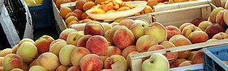 Pfirsiche auf dem Wochenmarkt Stephanplatz