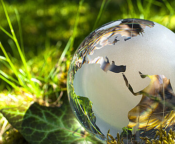 Weltkugel aus Glas auf einer grünen Wiese