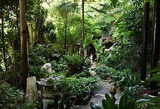 Das Bild zeigt einen dicht bewachsenen Privatgarten mit asiatischen Stilelementen. 