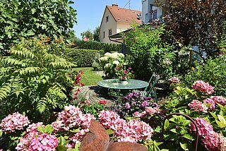 Blick auf einen Sitzplatz im Garten mit Hortensien