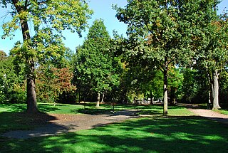 Das Bild zeigt Bäume, Rasenflächen und Wege in der Parkanlage des Beiertheimer Wäldchens.