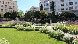 Kolpingplatz mit Sommerbepflanzung. 