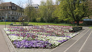 Das Bild zeigt ein Frühjahrsbeet im Stadtgarten. 