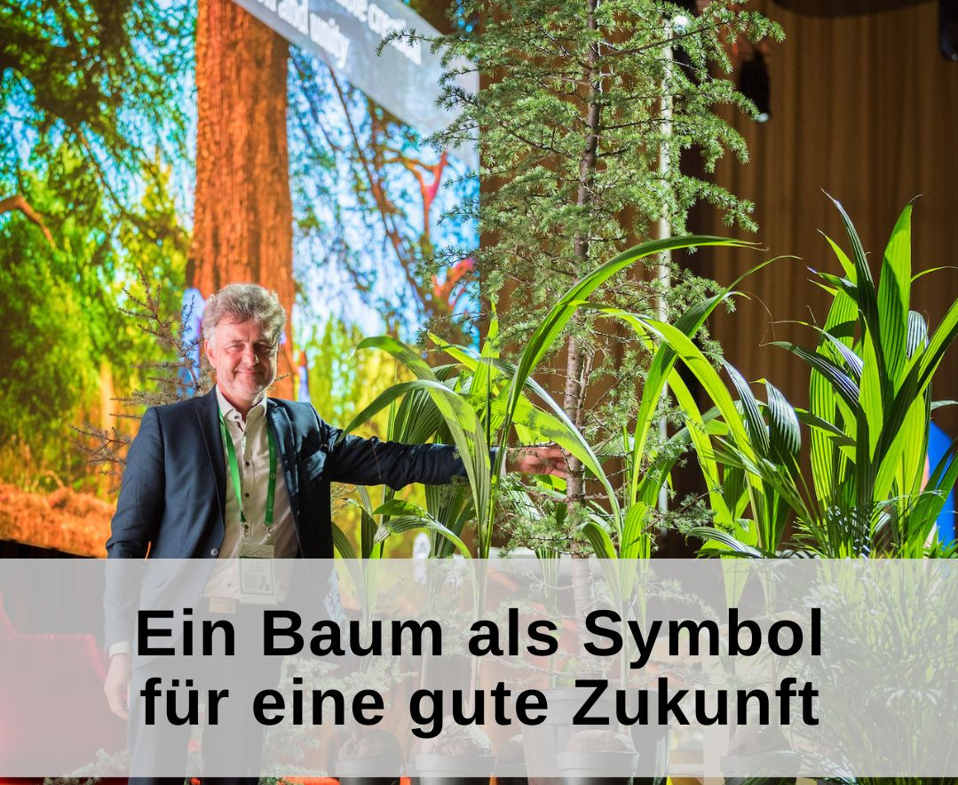 Oberbürgermeister Mentrup hält mit einer Hand den Stamm eines Baumes