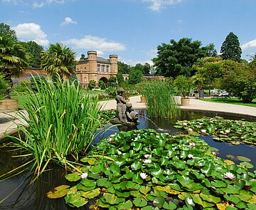 Das Bild zeigt einen Becken mit Wasserpflanzen im Botanischen Garten mit Wasserpflanzen.