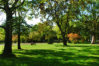 Das Bild zeigt die Parkanlage des Alten Friedhofs.