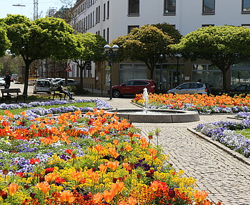 Frühlingsbepflanzung Kolpingplatz