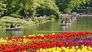Das Bild zeigt die Gondoletta auf dem See im Zoologischen Stadtgarten mit Frühlingsblumen im Vordergrund.