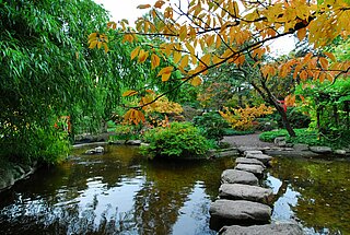 Das Bild zeigt die Trittsteine im Teich des Japanischen Gartens.