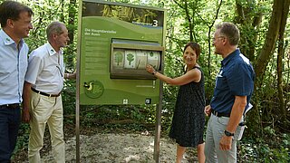 Hauptdarsteller der Auwälder sind Bäume, erfährt Bürgermeisterin Bettina Lisbach an einer Station des Auenerlebnispfads.