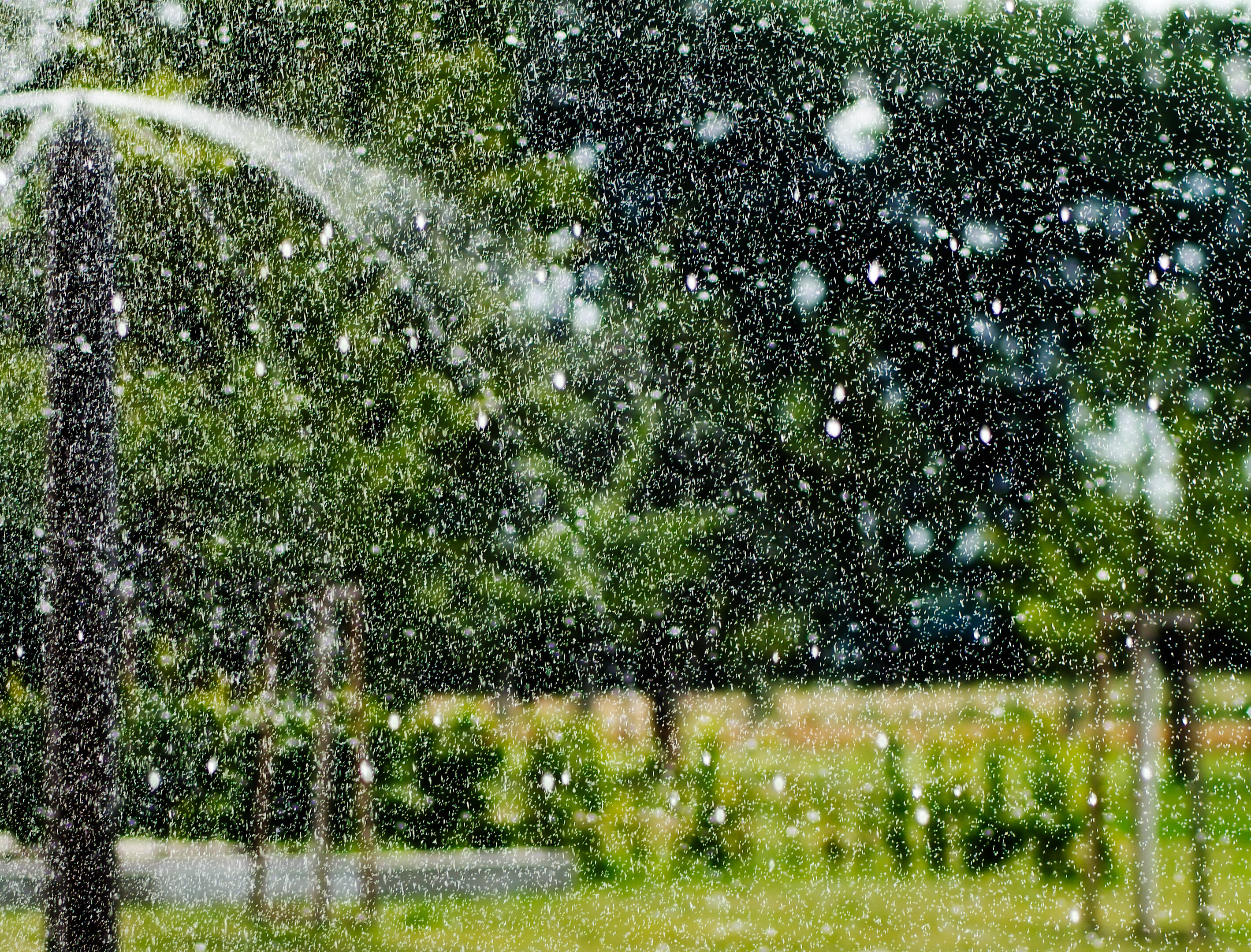 Water sprinkler in Maxau