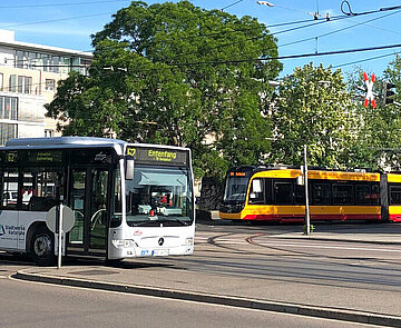 Das Foto zeigt einen Bus und eine Straßenbahn.