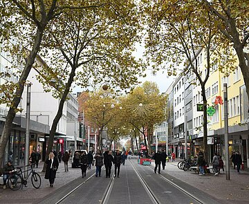 Blätterdach: Nach Umgestaltung der Kaiserstraße sollen 86 neue Bäume den notwendigen Schatten spenden. Bis sie dazu in der Lage sind, will die Stadt für Übergangslösungen sorgen.