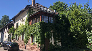 Romantische Fassadenbegrünung aus wildem Wein in Grötzingen