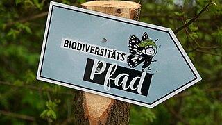 Biodiversitätspfad_Grötzingen