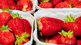 Das Bild zeigt Steigen mit frischen Erdbeeren.