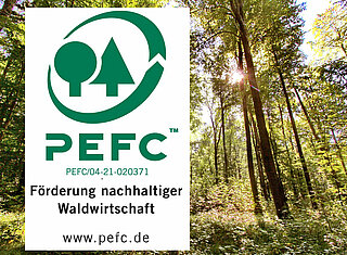 Foto Stadtwald mit PEFC-Siegel