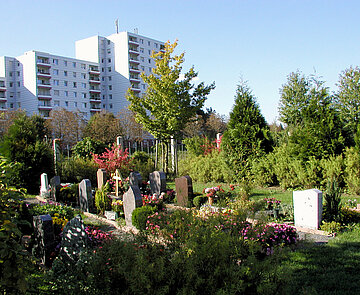 Das Bild zeigt den Friedhof Oberreut mit einigen Gräbern und Hochhäusern im Hintergrund. 
