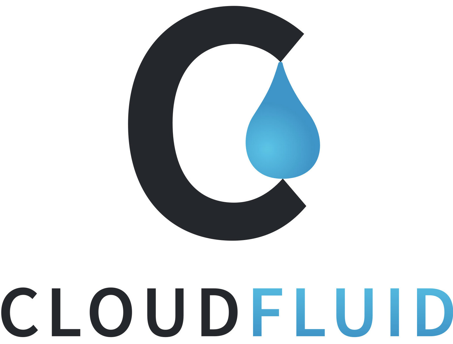 Logo des Karlsruher Unternehmens Cloudfluid GmbH