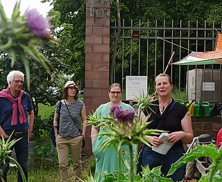 10 Jahre Offene Pforte und Urban Gardening
