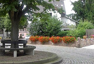 Bild eines Platzes in Wolfartsweier im Sommer.