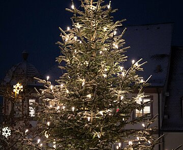 Weihnachtlich geschmückte Tanne auf dem Schlossplatz in Durlach bei Nacht