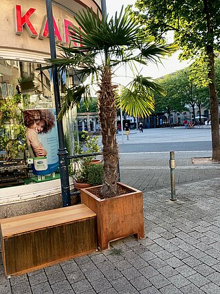 Bänke und Palmen für die Aufwertung der Karlstraße