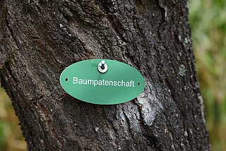 Das Bild zeigt einen Ausschnitt eines Baumstamms, auf dem ein Schild mit der Aufschritt Obstbaumpatenschaft angebracht ist.