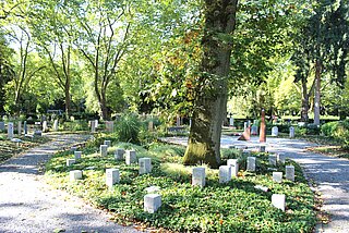 Gräberfeld mit nachhaltigen Grabsteinen unter einem Baum