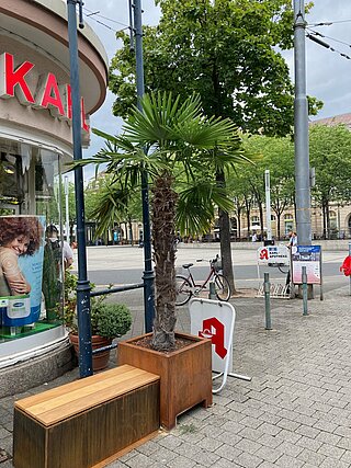 Sitzgelegenheiten und Grünelemente vor der Karl-Apotheke und die Karlstraße: Sicht auf den Stephanplatz, Kübel mit einer Palme und daneben eine Bank.