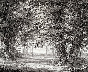 ,,Auf dem Weg nach Beiertheim"heißt das 1856 von F. von Stockhorn gemalte Bild. Es gibt einen guten Eindruck davon, wie das Gebiet, das heute noch Beiertheimer Wäldchen heißt, damals ausgesehen hat.