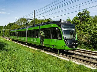 Foto einer grünen Straßenbahn - der AVG Froschbahn.