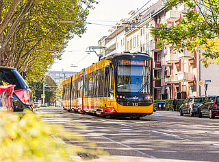 Foto einer Straßenbahn der VBK in der Südstadt.