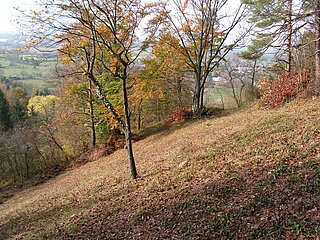Knittelberg im Herbst