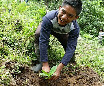 Die KEK fördert das Waldklimaprojekt Puntos Verdes in Ecuador.