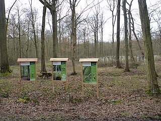 Das Bild zeigt Informationstafeln zu forstlichen Themen im Wald.