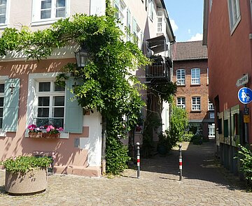 Fassadenbegrünung Altstadt Durlach