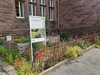 Urban Gardening Standort mit Hochbeeten am Goethegymnasium