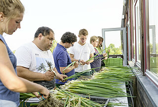 Freiwillige Helferinnen und Helfer putzen Gemüse.