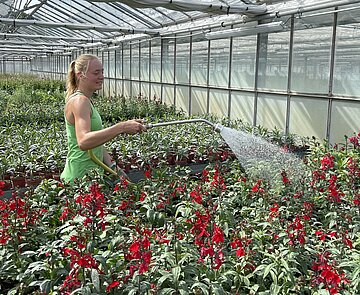 Gärtner*in, Fachrichtung Zierpflanzenbau