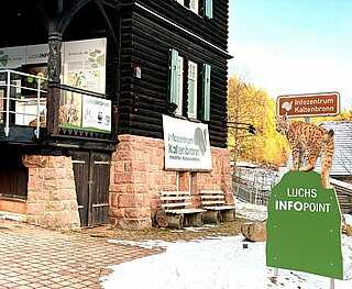 Der neue Luchs-Info-Point am Kaltenbronn soll künftig das Bestandsstützungsprojekt im Schwarzwald erlebbar machen.