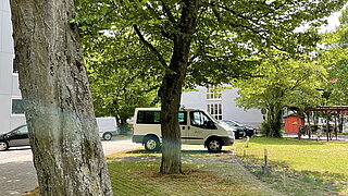 Das Bild zeigt mit Bäumen überstellte Parkplätze.