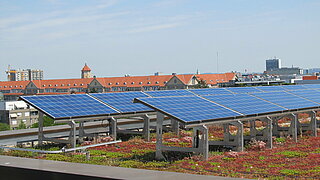 Das Bild zeigt Dachbegrünung in Kombination mit Photovoltaik.