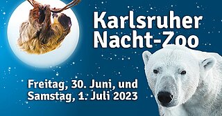 Beim Karlsruher Nacht-Zoo haben die Tierhäuser bis 22 Uhr geöffnet.